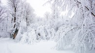 Od początku lutego z powodu wychłodzenia zmarły 42 osoby Od początku lutego z powodu wychłodzenia zmarły 42 osoby. Tylko ostatniej doby z tego powodu zmarło 9 osób, w województwie śląskim – 3 osoby, łódzkim – 2 osoby, mazowieckim –...