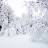 Od początku lutego z powodu wychłodzenia zmarły 42 osoby Od początku lutego z powodu wychłodzenia zmarły 42 osoby. Tylko ostatniej doby z tego powodu zmarło 9 osób, w województwie śląskim – 3 osoby, łódzkim – 2 osoby, mazowieckim –...