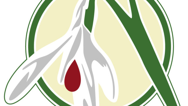 logo_pelne_kolor