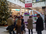 Tarnów-20131213-00305.jpg